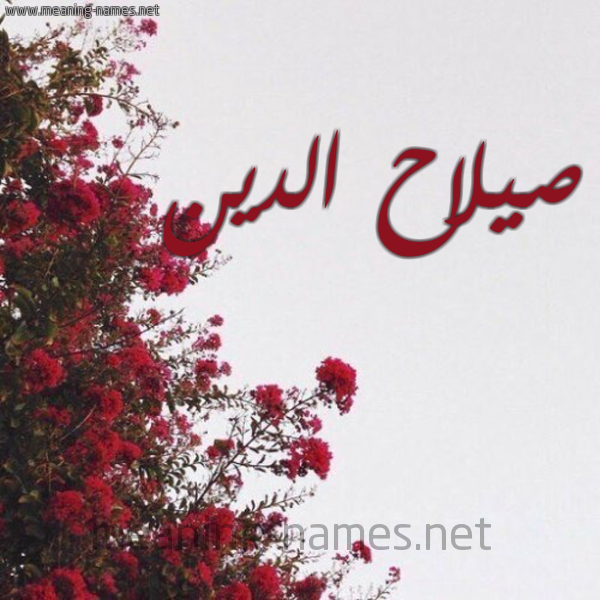 شكل 18 صوره الورد الأحمر للإسم بخط رقعة صورة اسم صيلاح الدين Salah-Al-din
